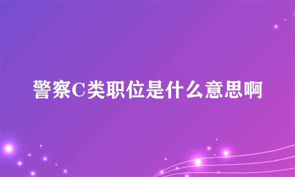 警察C类职位是什么意思啊