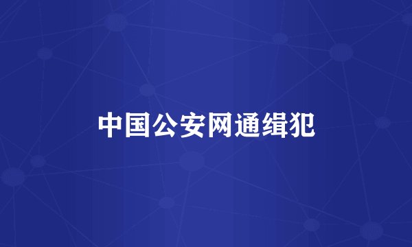 中国公安网通缉犯