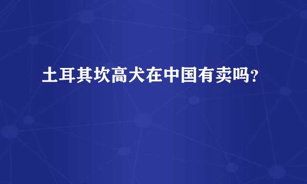 土耳其坎高犬在中国有卖吗？