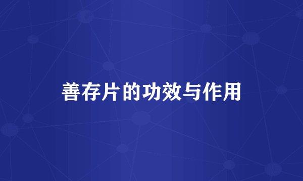 善存片的功效与作用