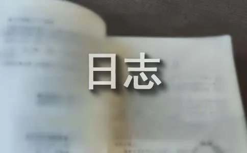 qq非主流日志