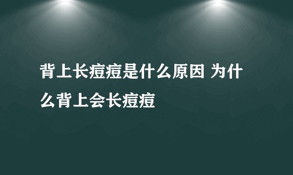 背上长痘痘是什么原因 为什么背上会长痘痘