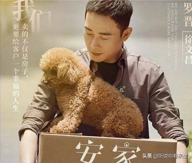 《安家》电视剧和哪个电视剧相似？