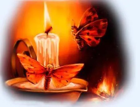 飞蛾为什么要扑火呢?谢谢!