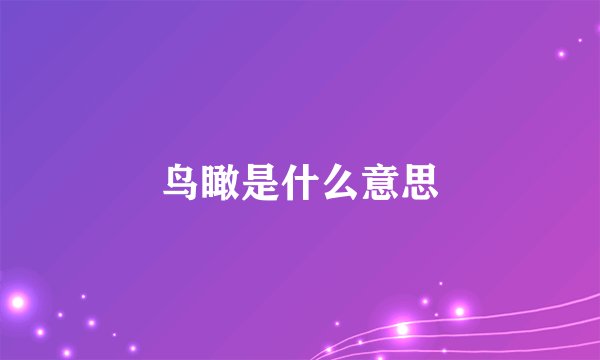 鸟瞰是什么意思