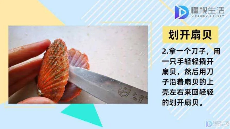 如何清洗扇贝