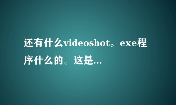 还有什么videoshot。exe程序什么的。这是什么东西？