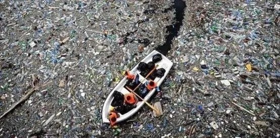 世界“第八大陆”究竟是什么呢？怎么形成的？