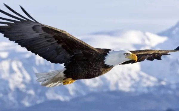 3158招商加盟网可靠吗？