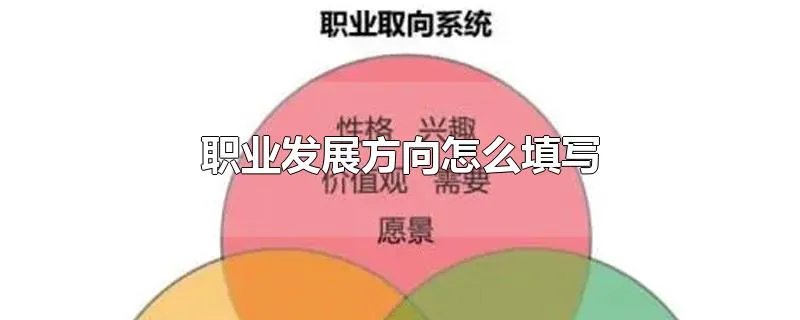 职业发展方向怎么填写