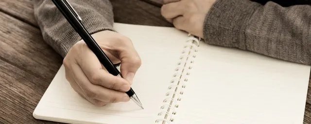 goose是什么意思中文