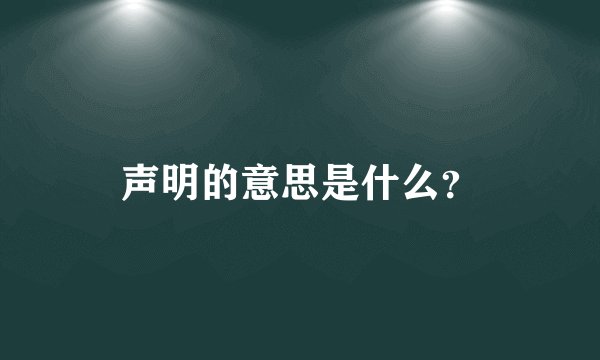 声明的意思是什么？