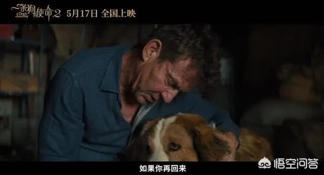如何评价电影《一条狗的使命2》？