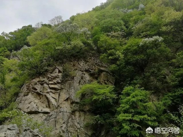 秦岭72峪最值得去的几个