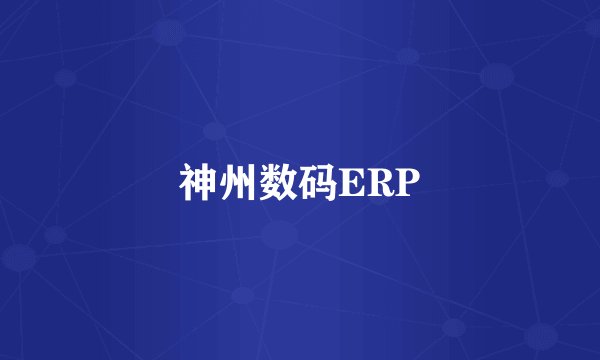 神州数码ERP