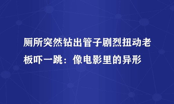 厕所突然钻出管子剧烈扭动老板吓一跳：像电影里的异形