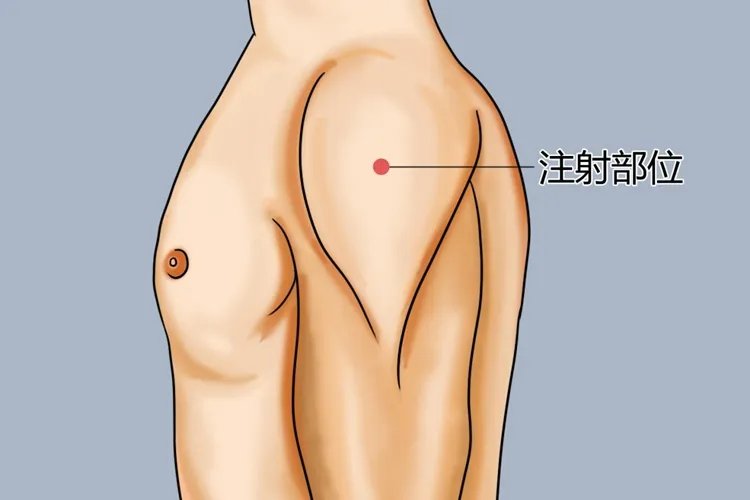 打疫苗正确位置图片