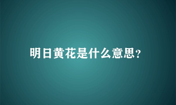 明日黄花是什么意思？