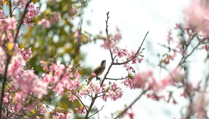 沁人心脾是什么意思