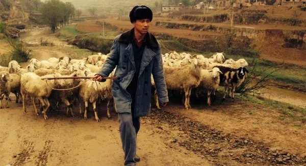 平凡的世界电视剧百度百科