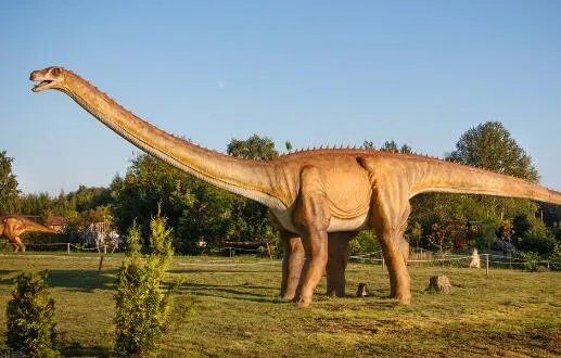 江西工地挖出6600万年前恐龙蛋化石是怎么回事 专家:白垩纪的