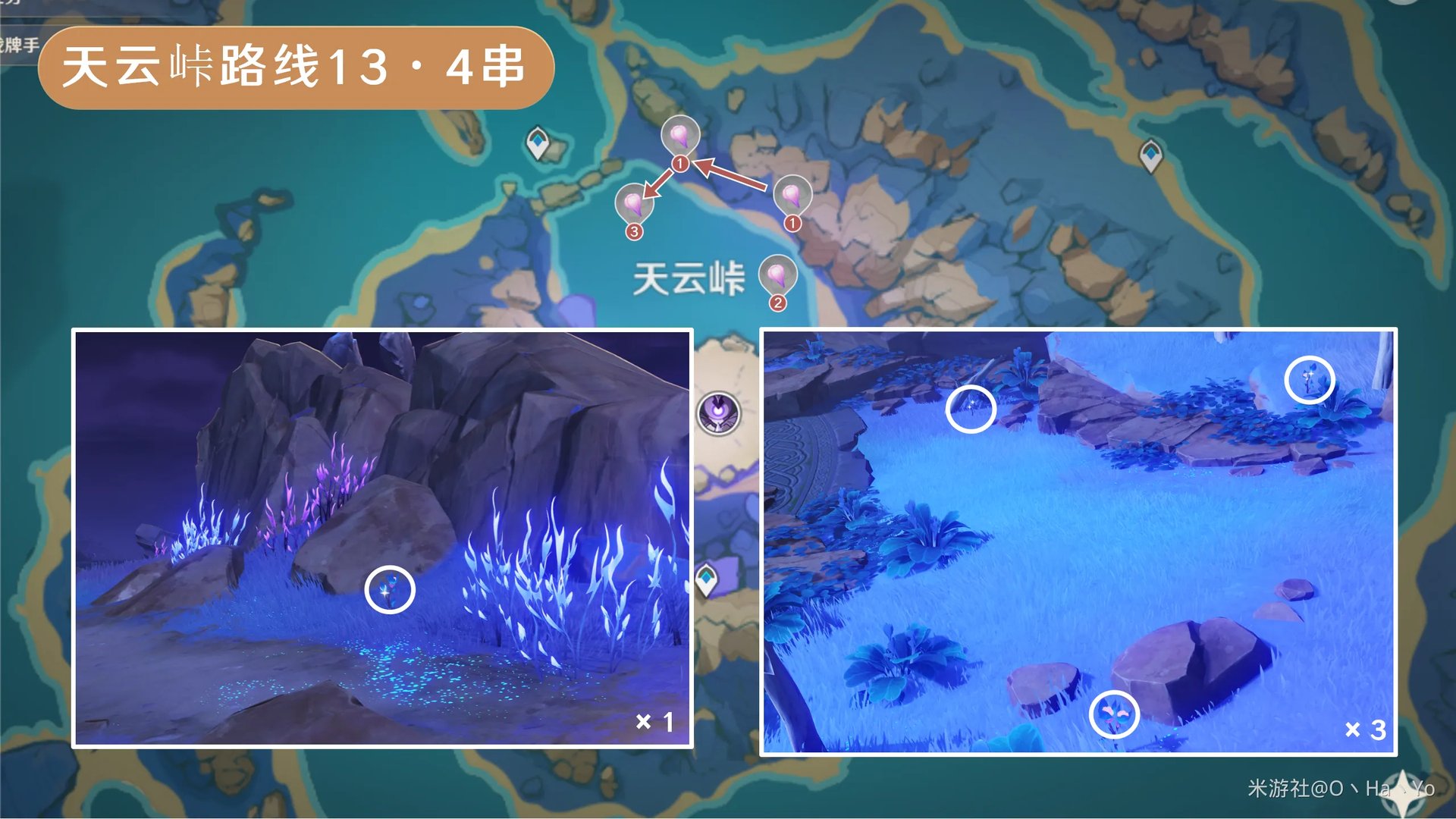 原神天云草实采集路线2024