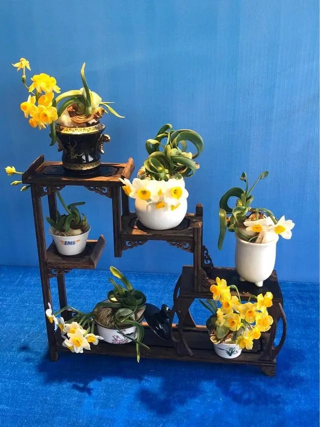 来过漳州或者在漳州定居生活过的人，大家觉得漳州怎么样？