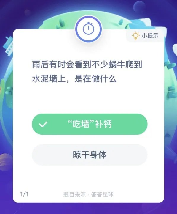 雨后有时会看到不少蜗牛爬到水泥墙上,是在做什么