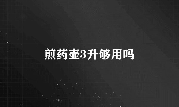 煎药壶3升够用吗