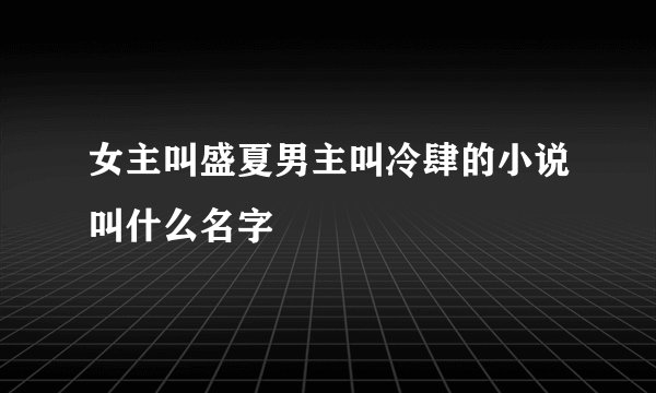 女主叫盛夏男主叫冷肆的小说叫什么名字