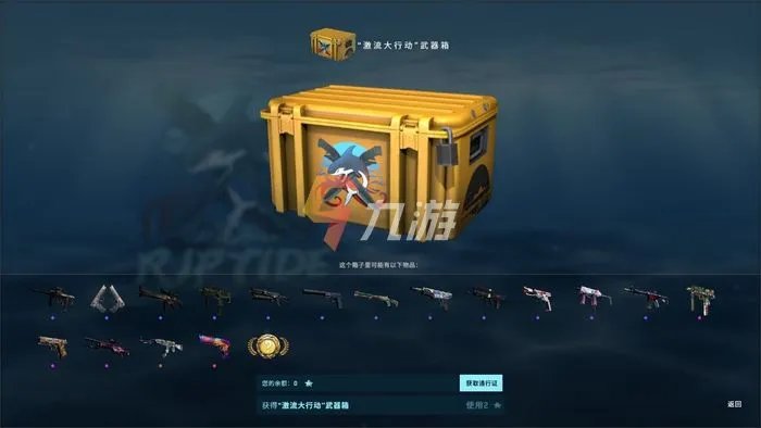 《csgo》大行动多少钱 大行动通行证价格介绍