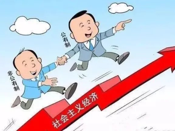 经济性质指的是什么？