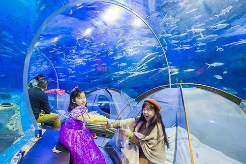 武汉海洋馆和海洋公园哪个好玩