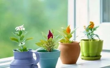 今天是几九第几天2022年，2022年数九时间表