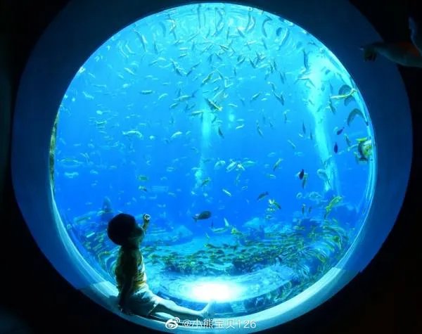 杜云什么起名男孩？