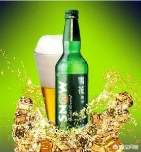 青岛啤酒和雪花啤酒哪个好？为什么？
