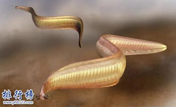 史前十大最怪异生物，如同漫画中的奇怪生物