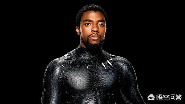 黑豹为什么票房那么高