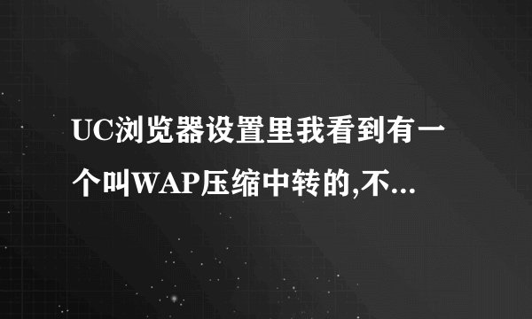 UC浏览器设置里我看到有一个叫WAP压缩中转的,不知道挑选打钩后会不会提高网页打开速度?