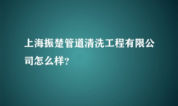 上海振楚管道清洗工程有限公司怎么样？