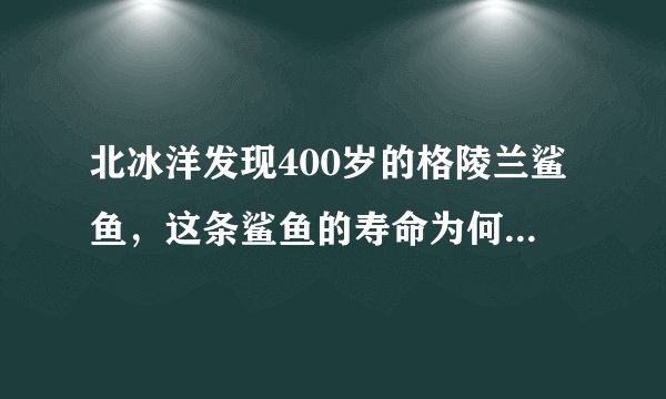 北冰洋发现400岁的格陵兰鲨鱼，这条鲨鱼的寿命为何这么长？