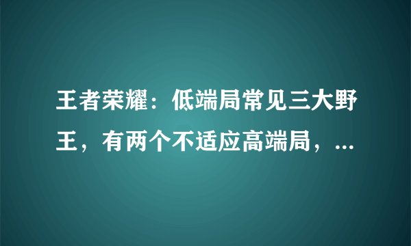 王者荣耀：低端局常见三大野王，有两个不适应高端局，为什么呢？