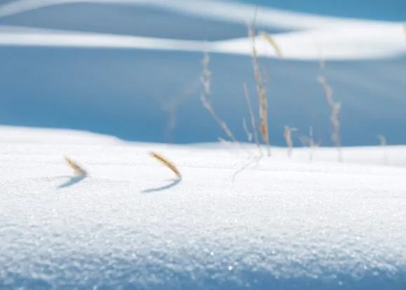 雪是怎么形成的 雪是什么物态变化