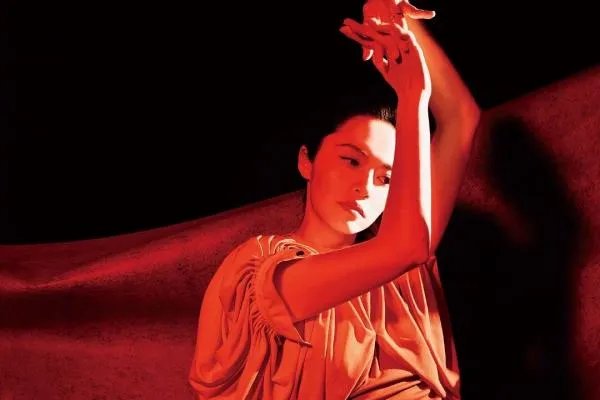 姚晨凌潇肃为什么离婚？