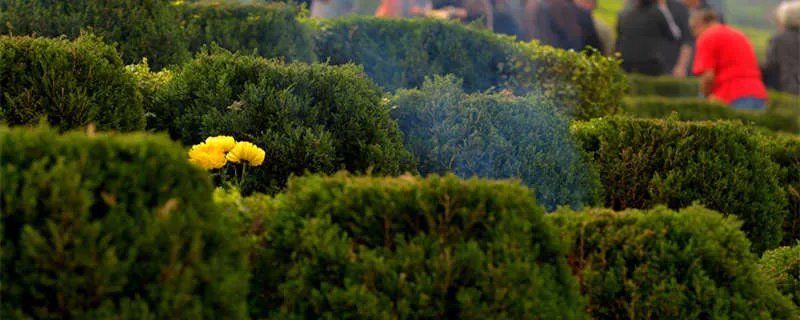 扫墓的禁忌和注意事项有哪些