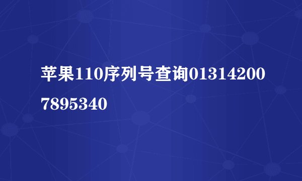 苹果110序列号查询013142007895340