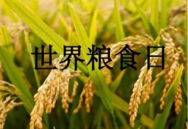 全球6.9亿人还在挨饿，如何避免不必要的浪费？