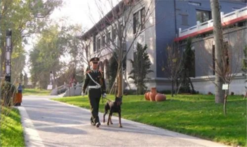 物业管理有什么