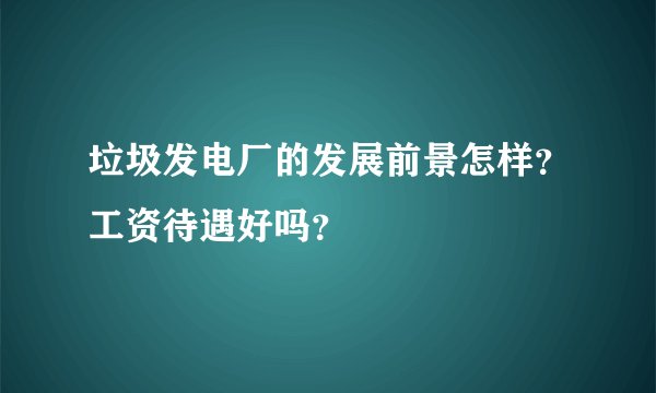 垃圾发电厂的发展前景怎样？工资待遇好吗？