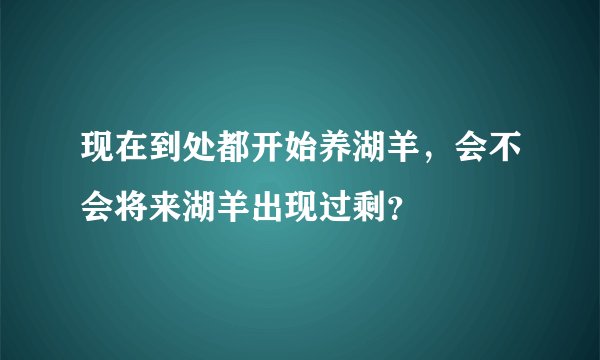 现在到处都开始养湖羊，会不会将来湖羊出现过剩？